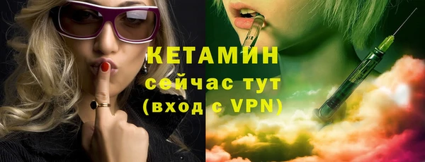 индика Вязьма