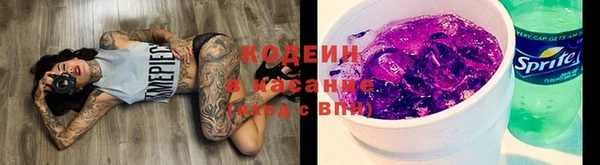 индика Вязьма
