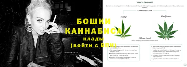 ECSTASY Вяземский