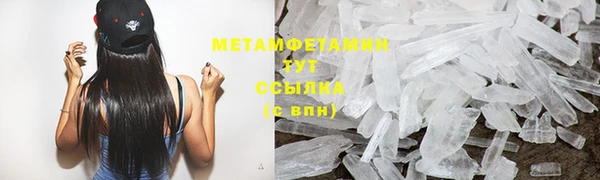 индика Вязьма