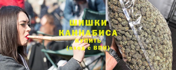 индика Вязьма