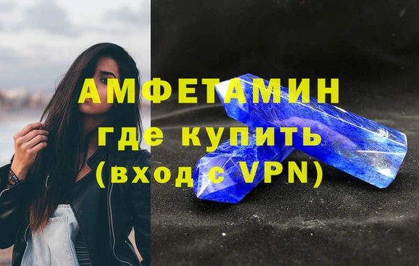 индика Вязьма