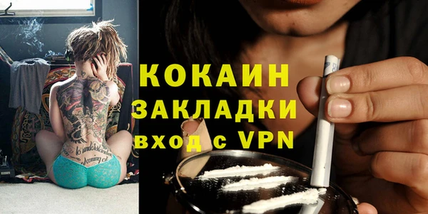 индика Вязьма