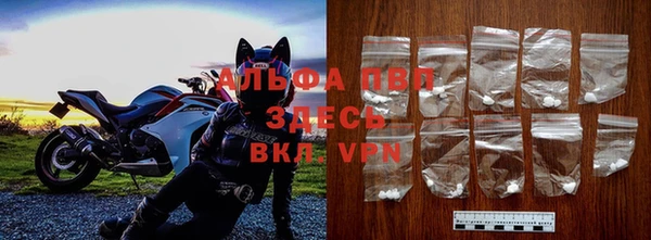 ECSTASY Вяземский