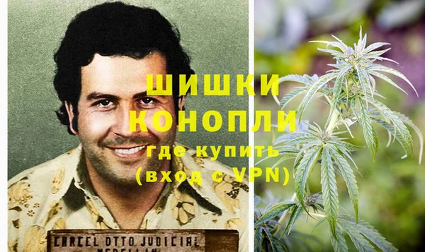 индика Вязьма