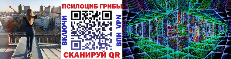 продажа наркотиков  Благовещенск  Псилоцибиновые грибы MAGIC MUSHROOMS 
